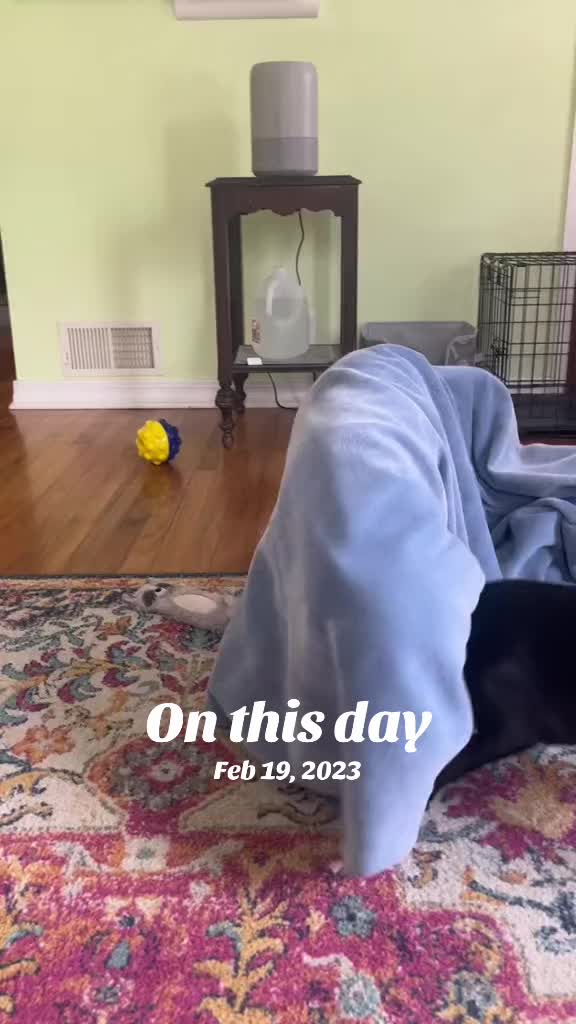 @snickers_and_sidekick