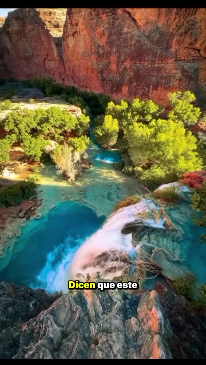 @mundo extraordinario