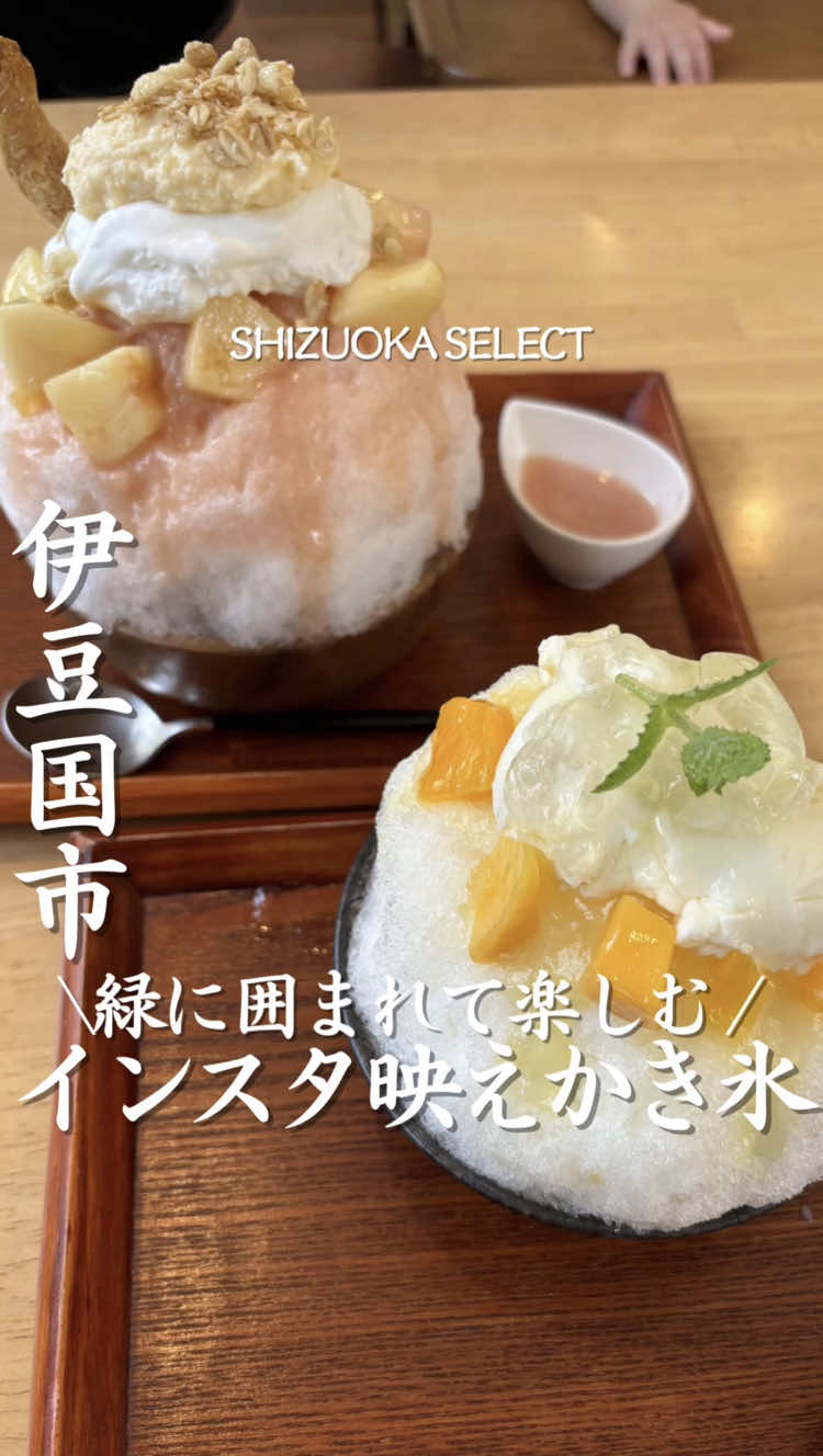 @静岡グルメ／SHIZUOKA SELECT