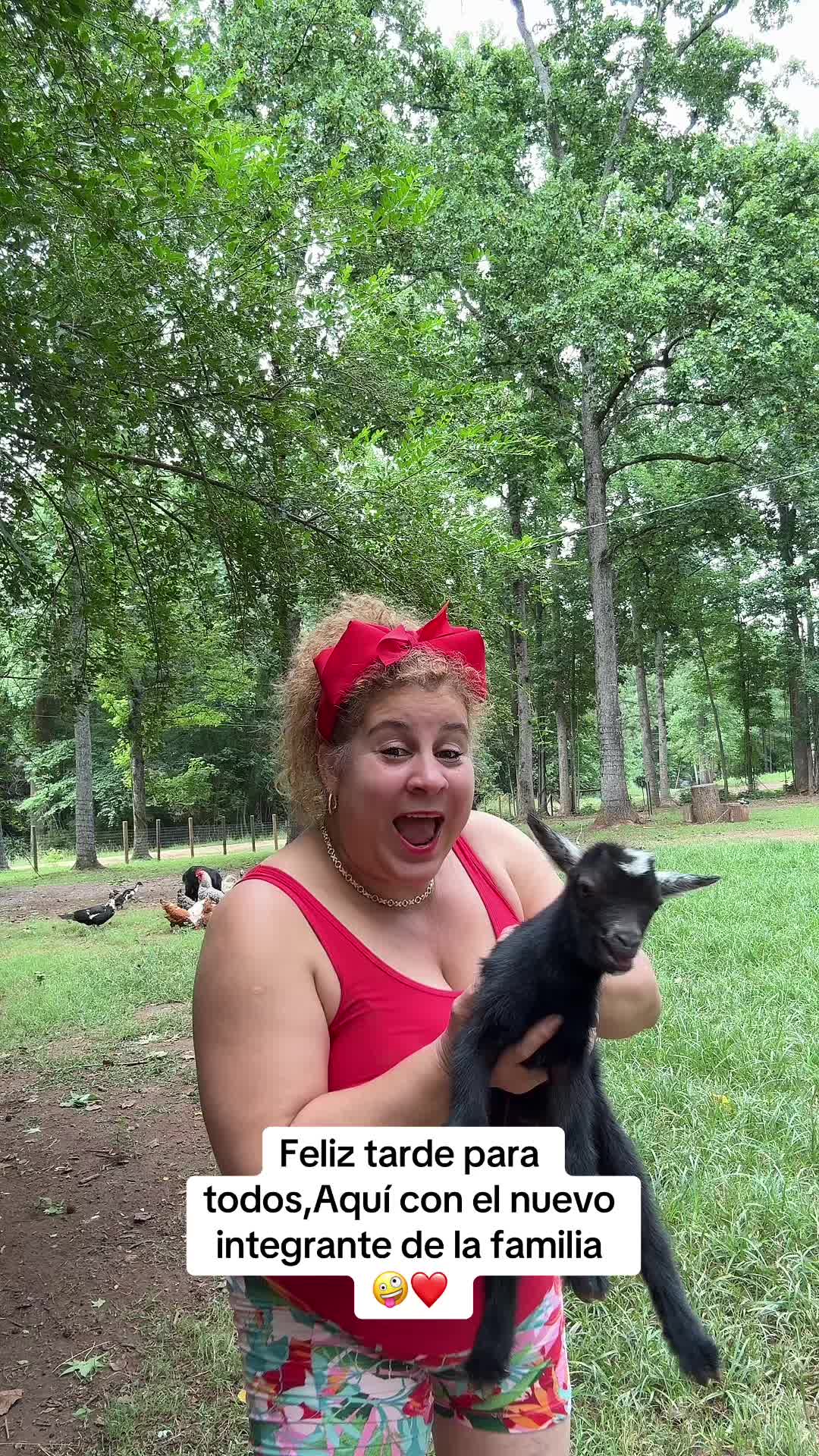 @Soleny