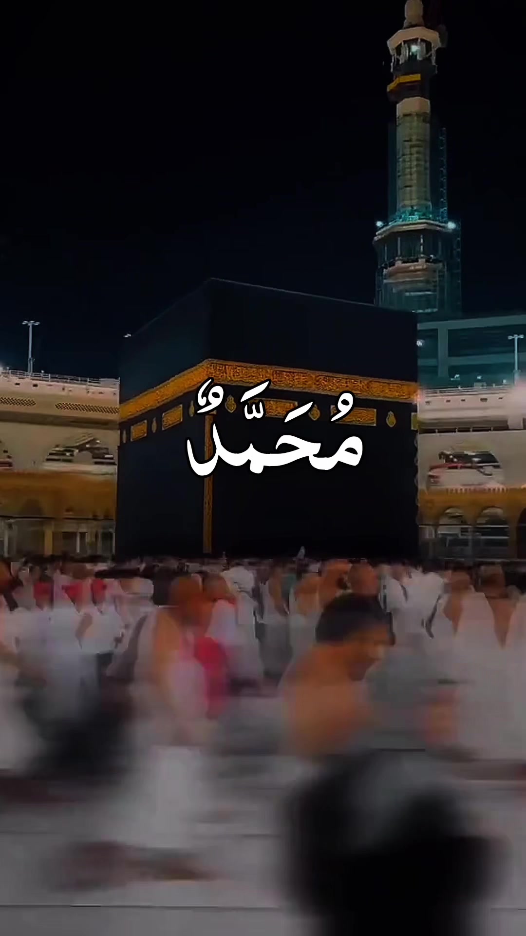 @❣️ Words of Allah ❣️