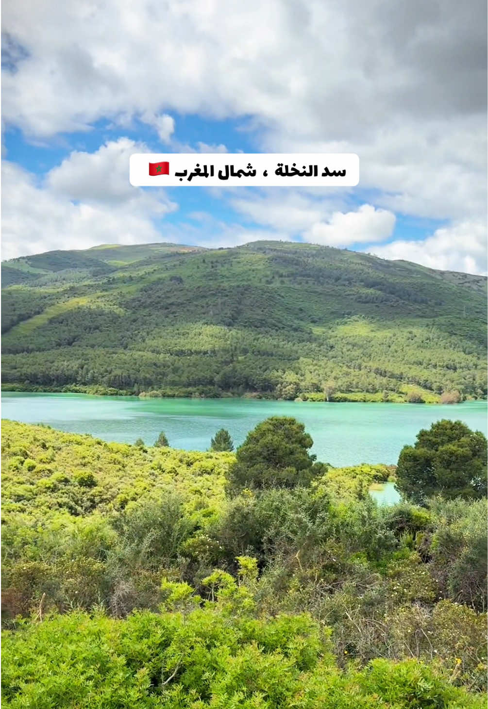 @محمد