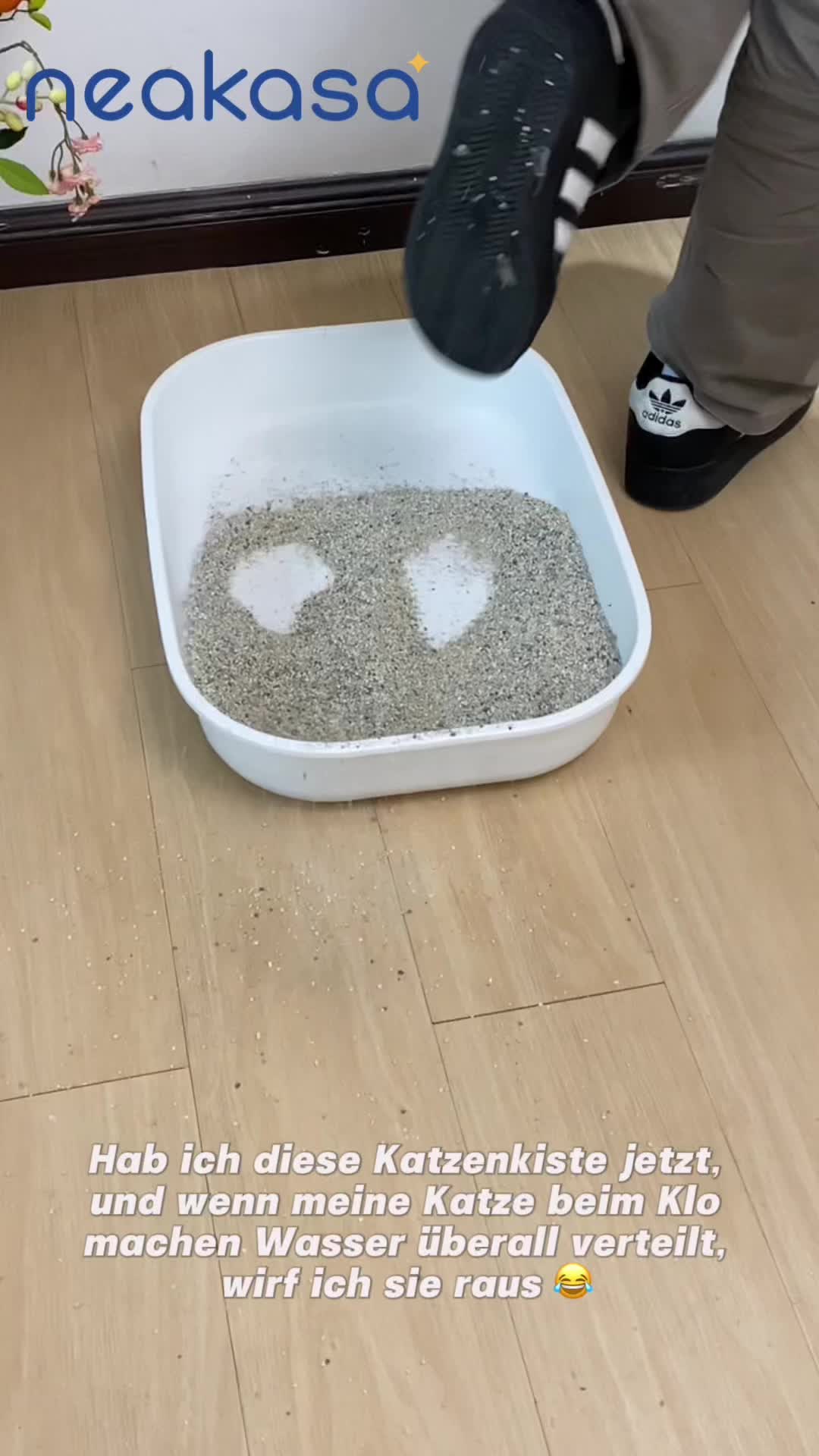 @Glückliche Katze