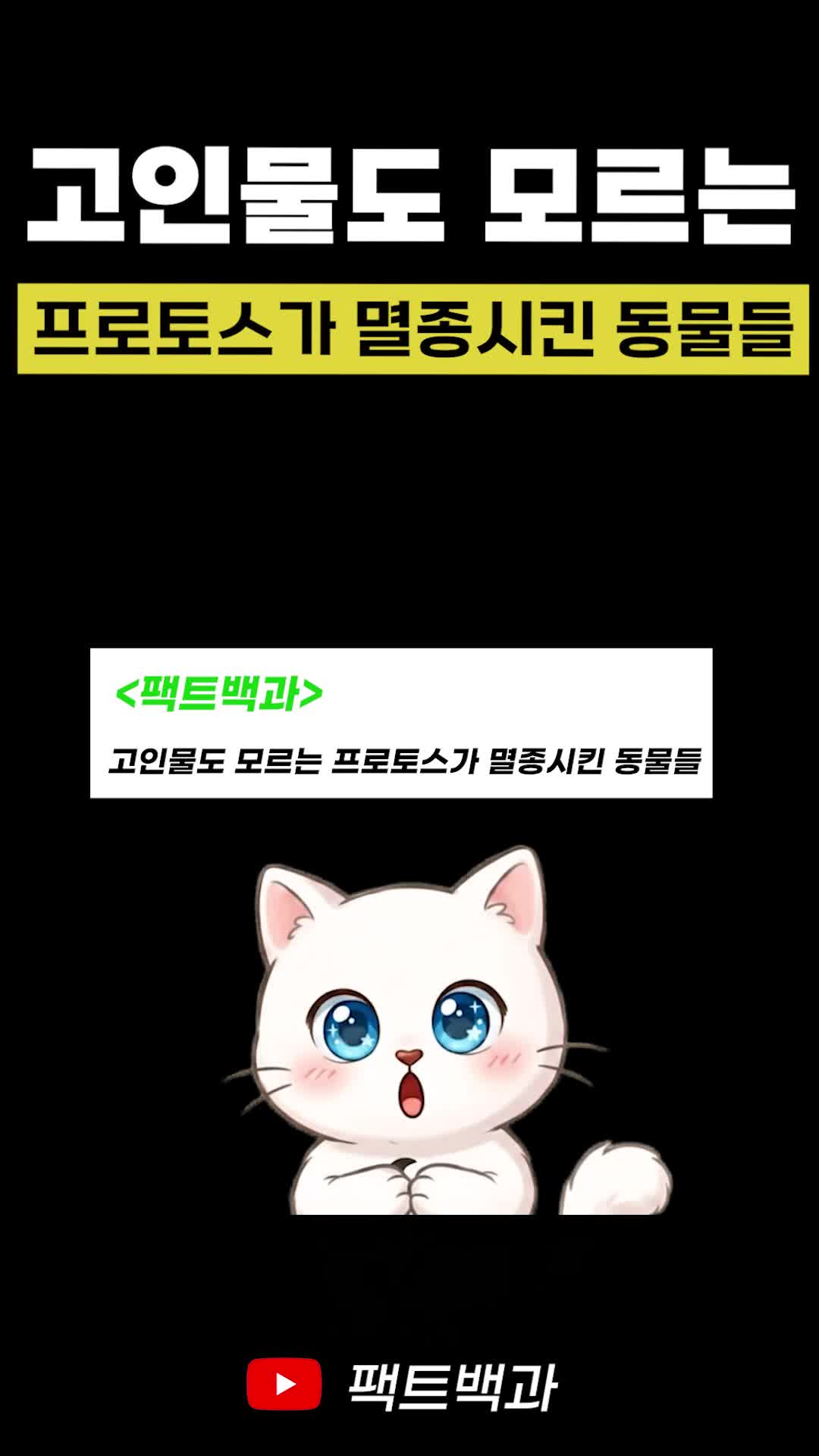@인물백과