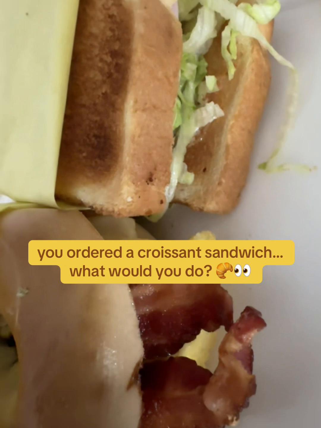 @thefoodauditco
