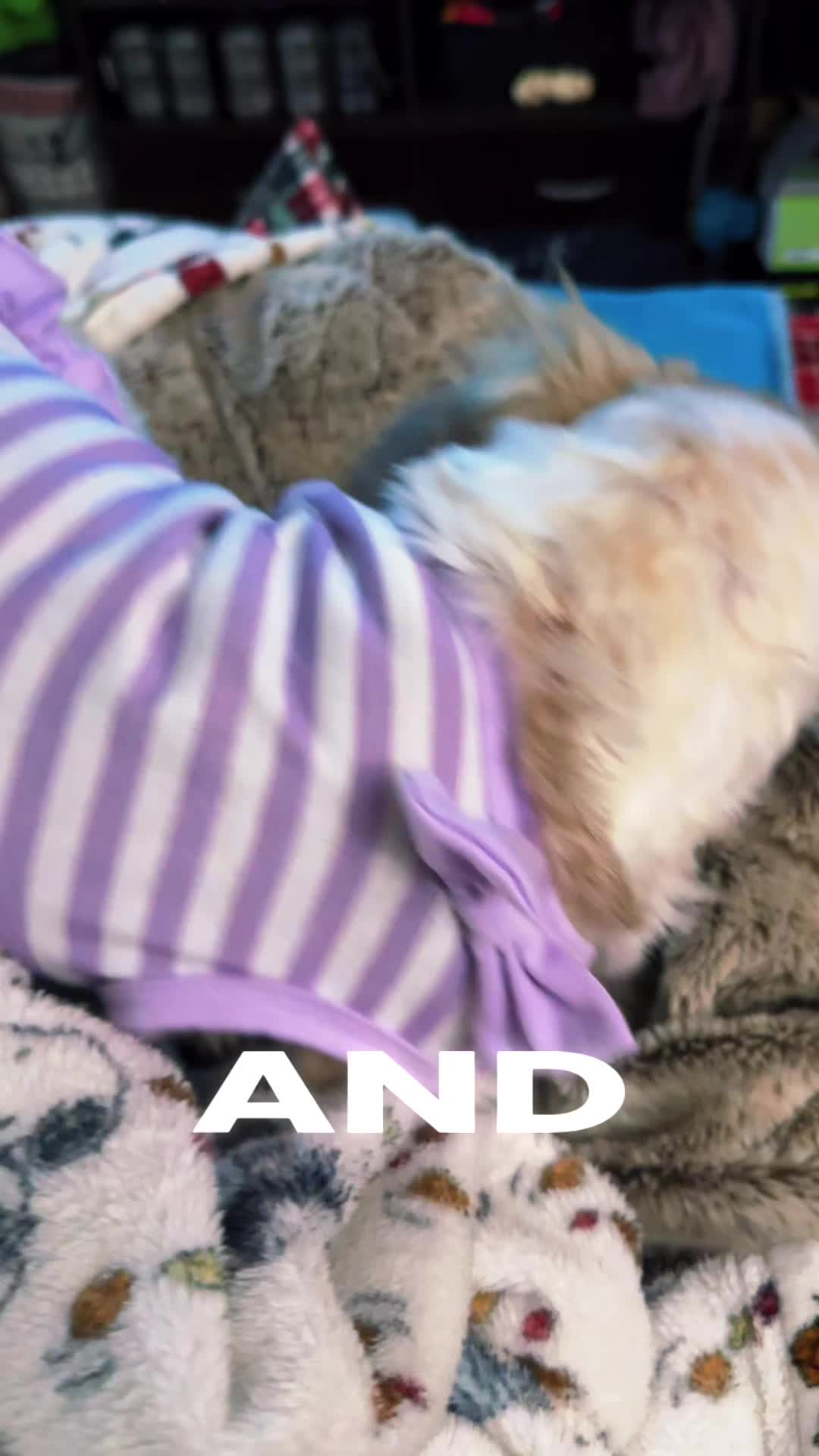 @RecycledRocker