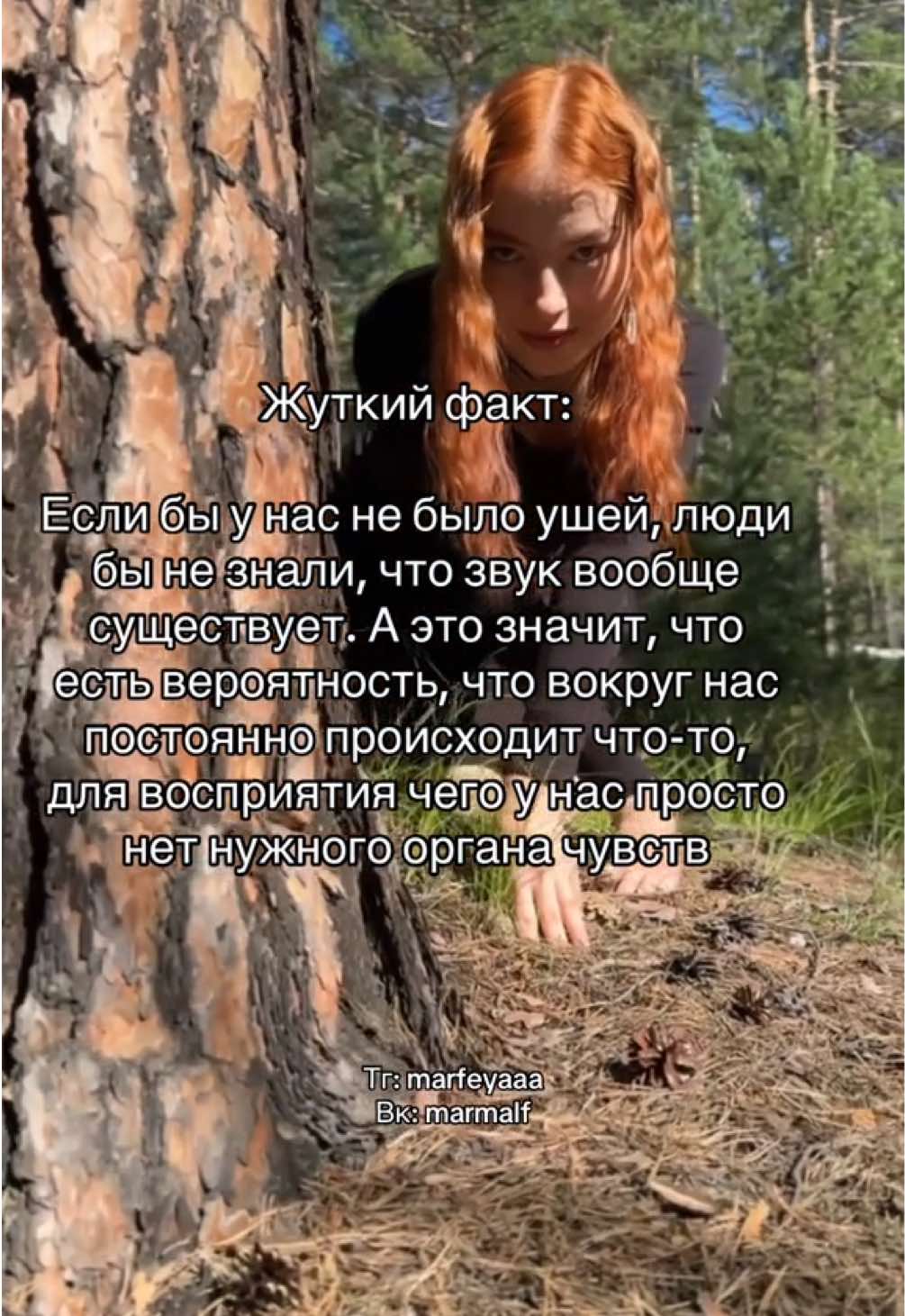 @Marfeya таро&регресс✨