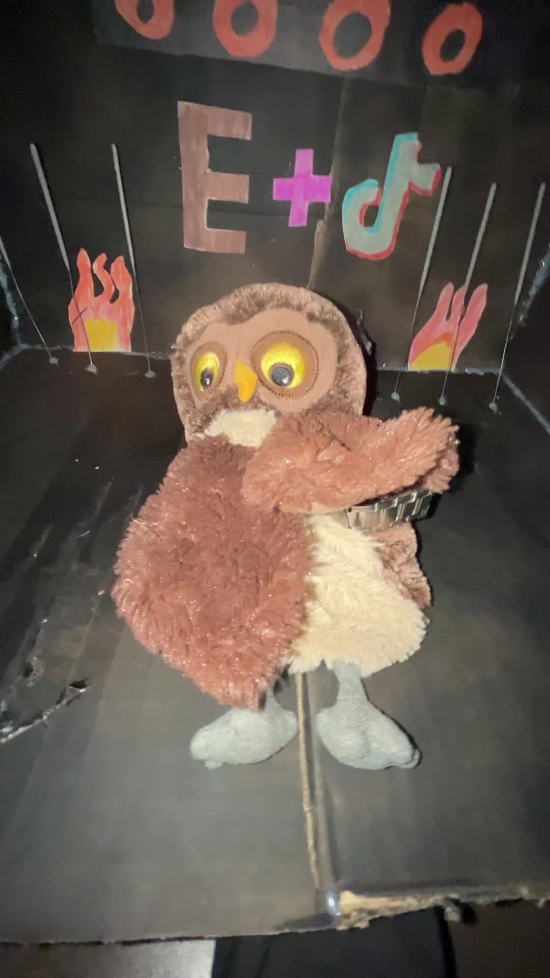@🦉✨ Eule✨m✨🦉