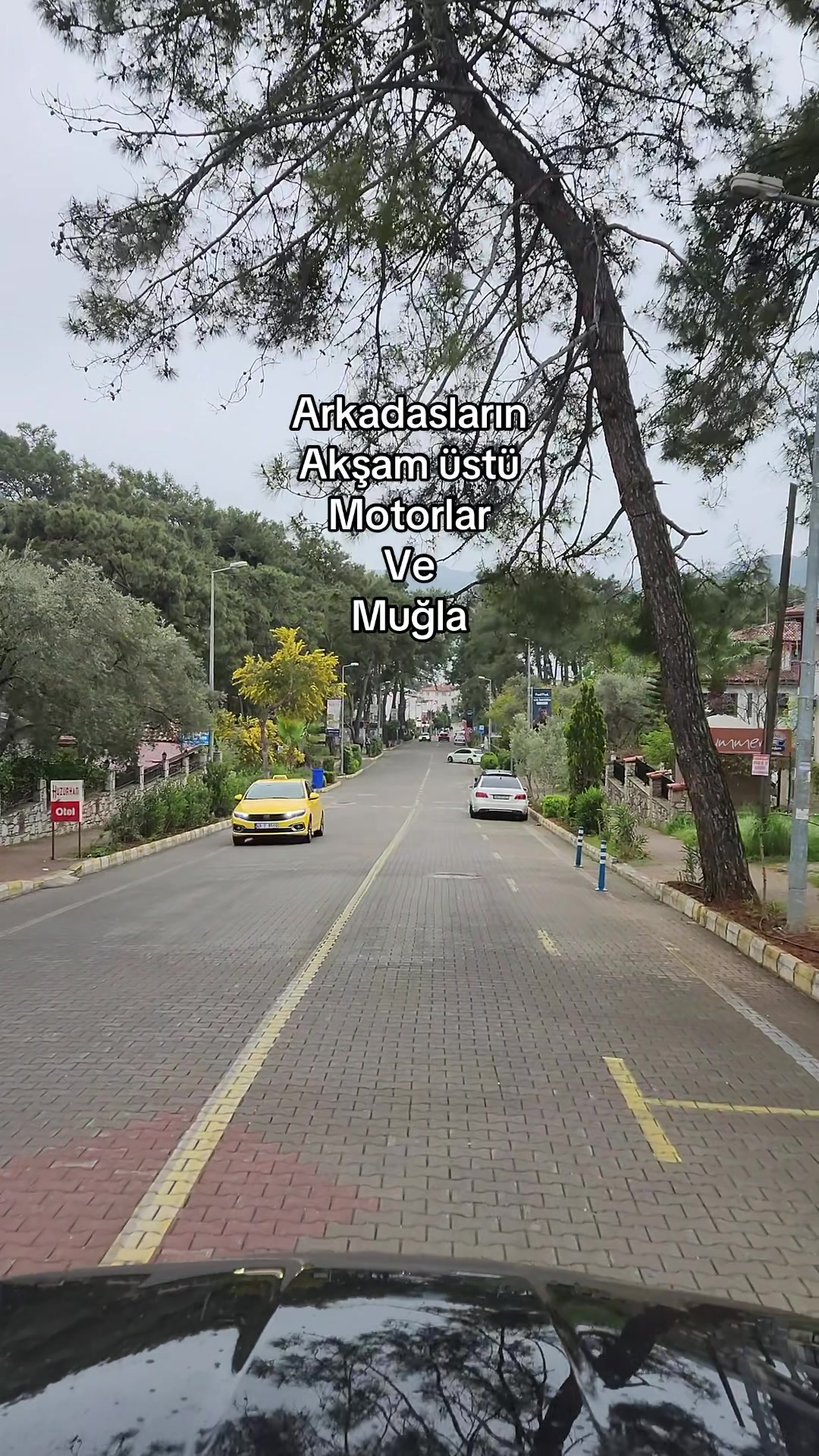 @MD