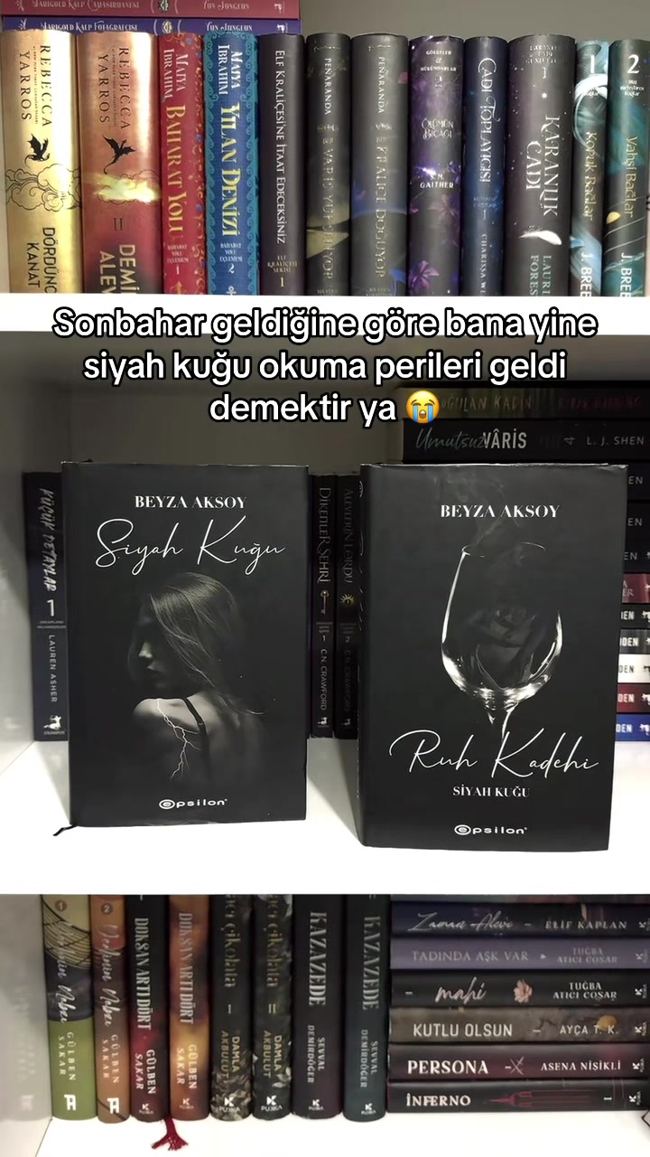 @laviniaabookss