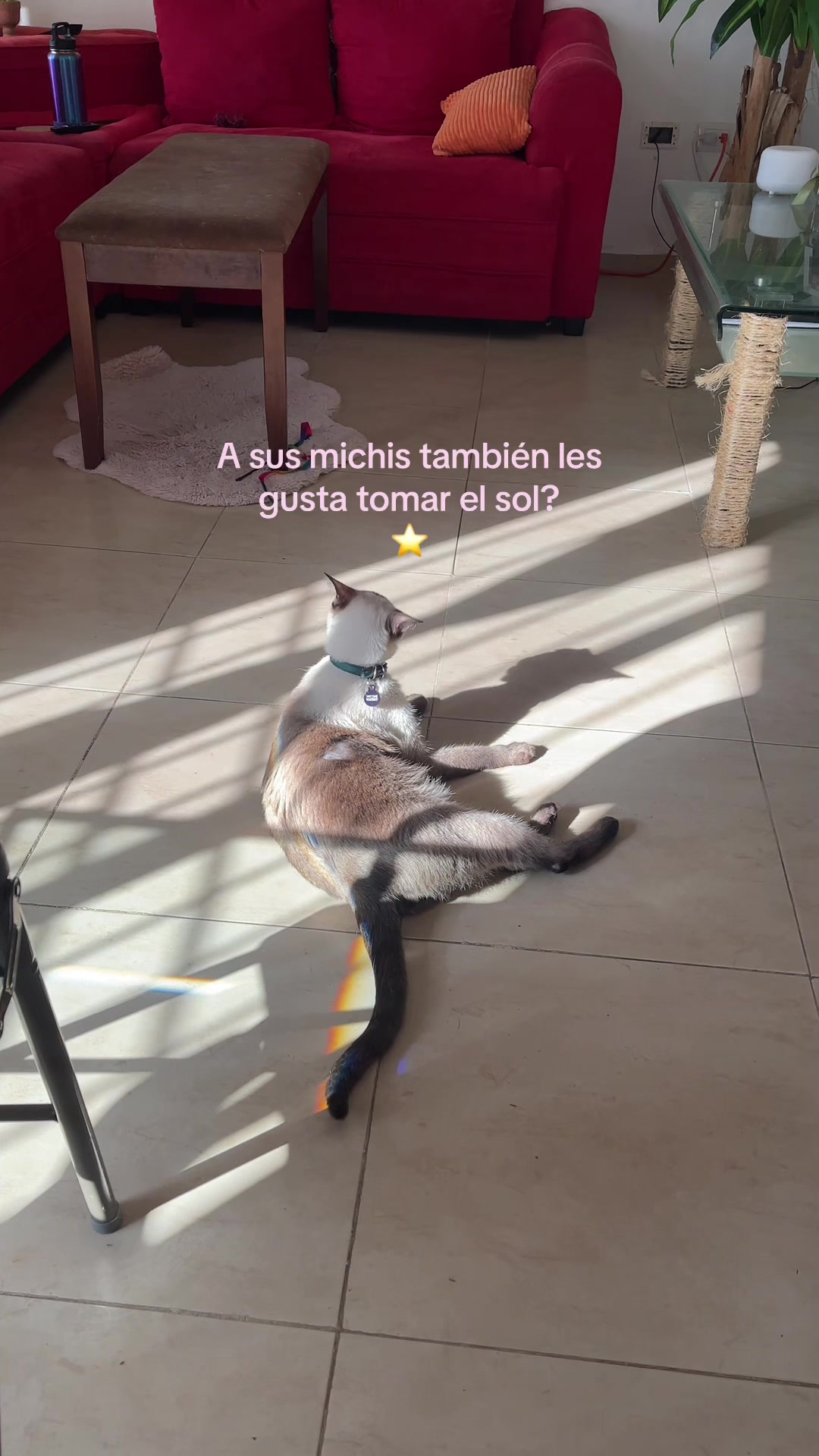 @Hermanitos siameses
