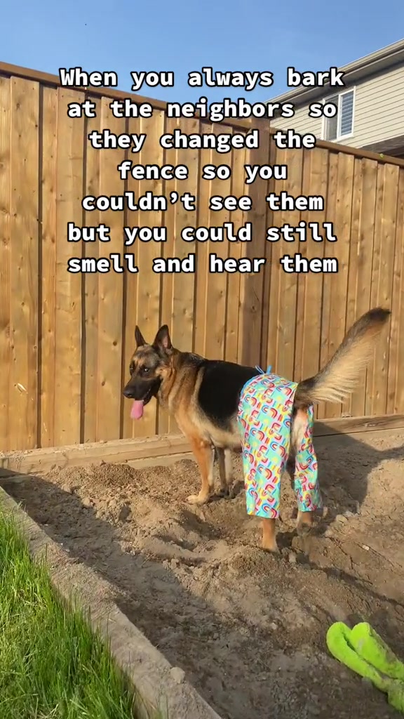 @Martygsd