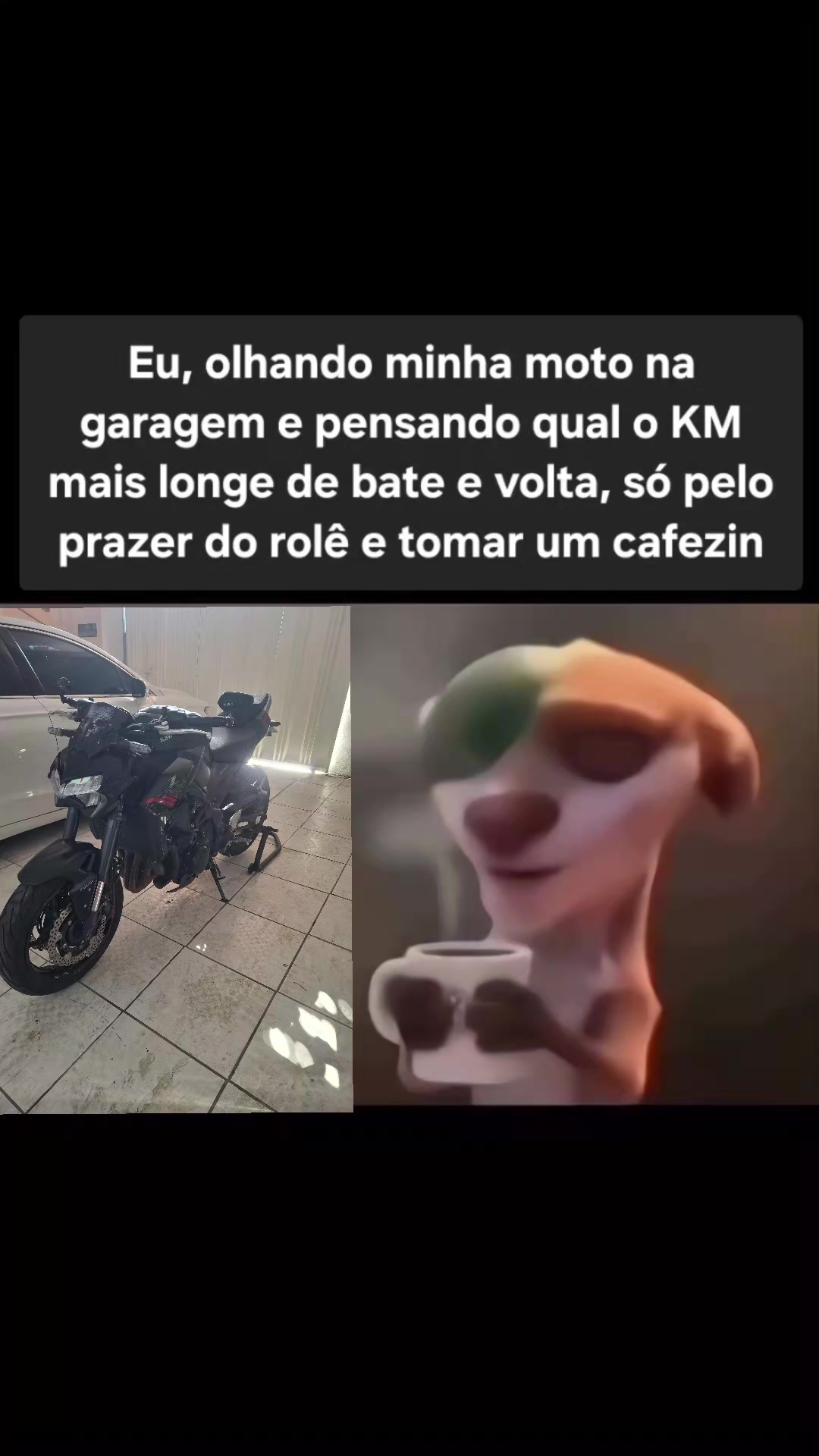 @willZ900