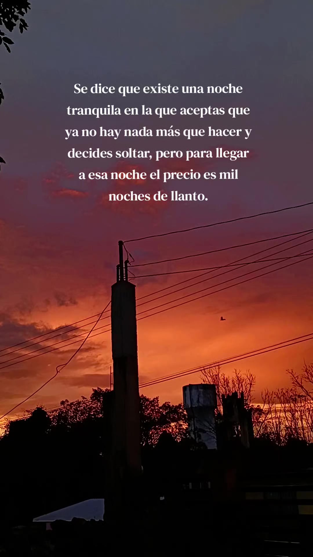 @Mau Sanz