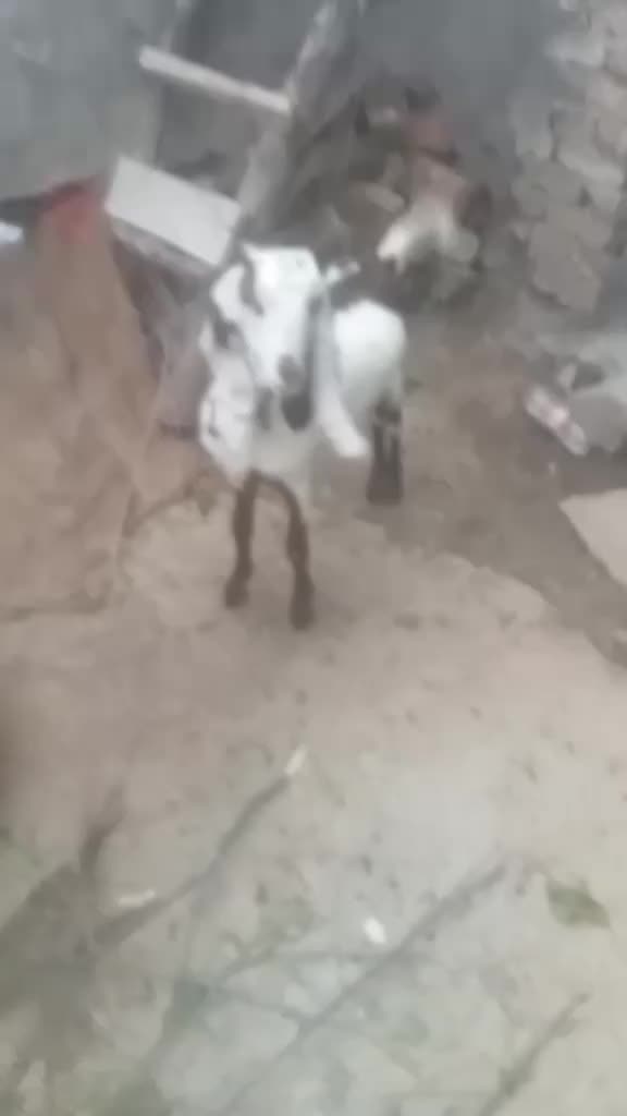 @Ali Khan
