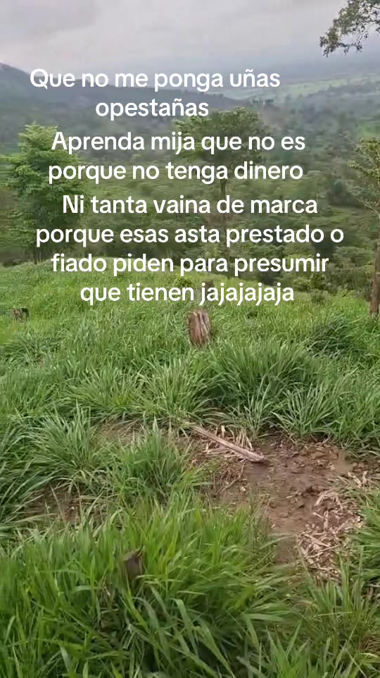 @Verónica Berganza