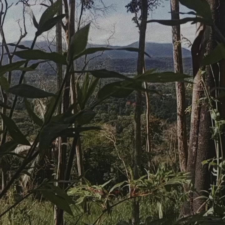 @𝑳𝑨𝑼𝑨𝑵 ⚡