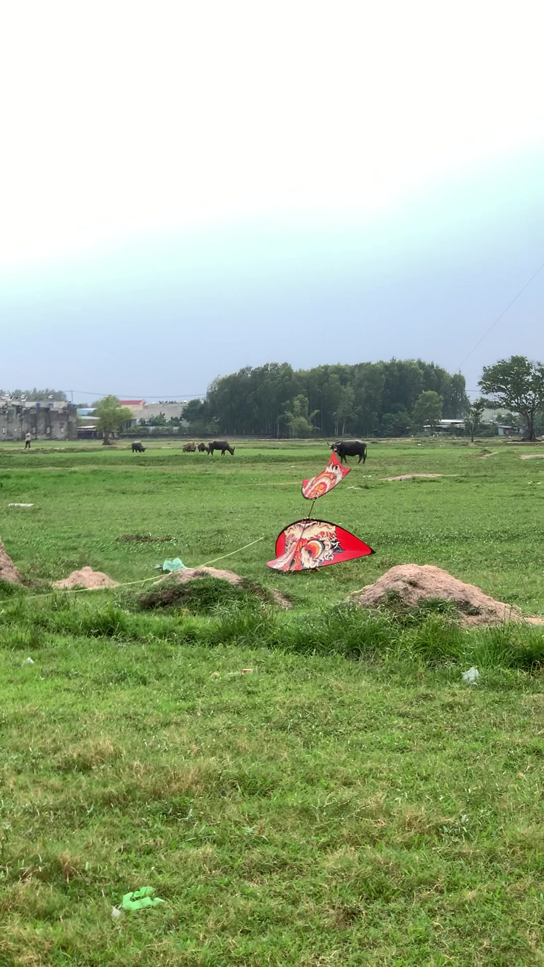 @Thả diều c&ugrave;ng Lợi