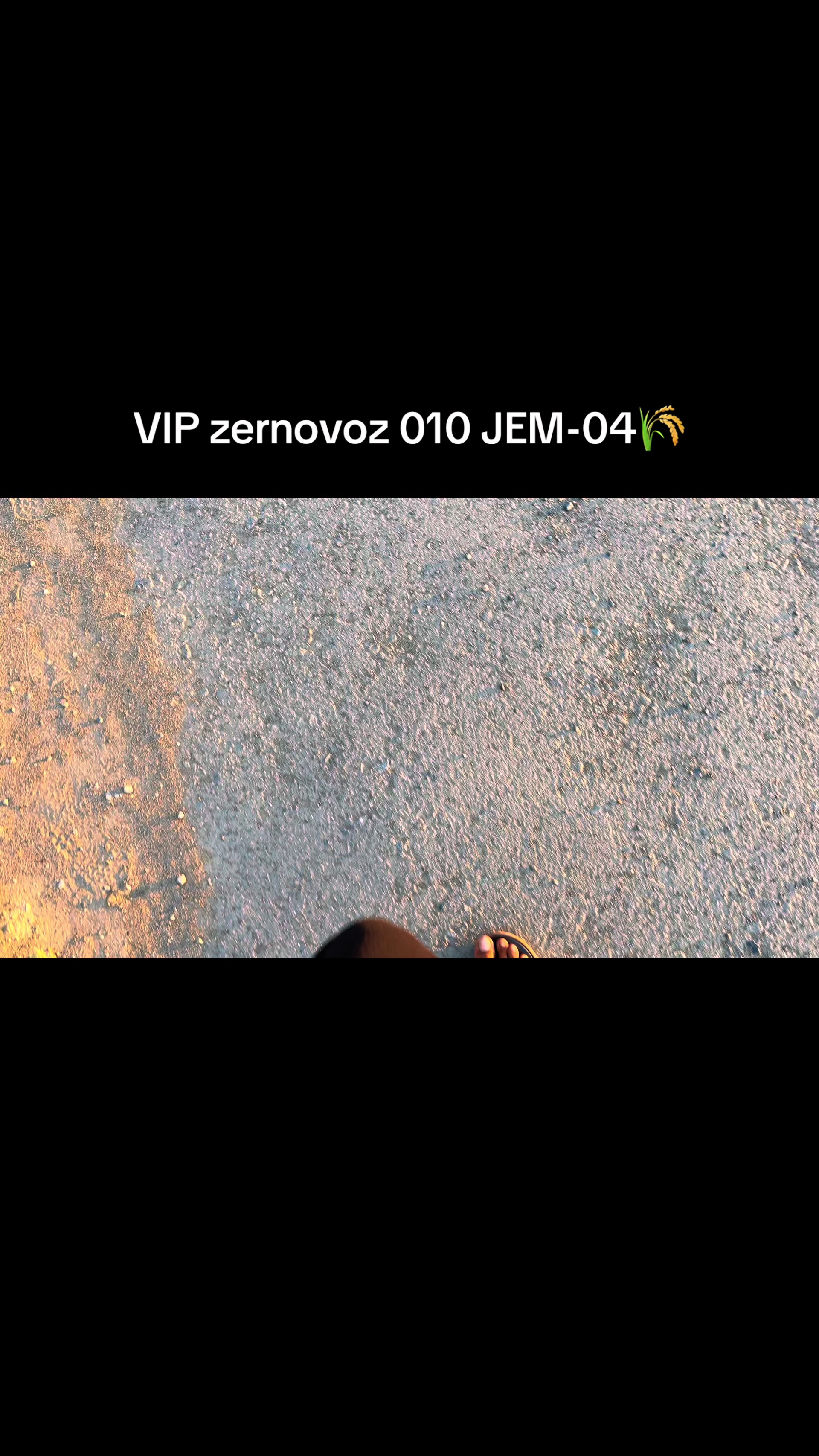 @844VIP04
