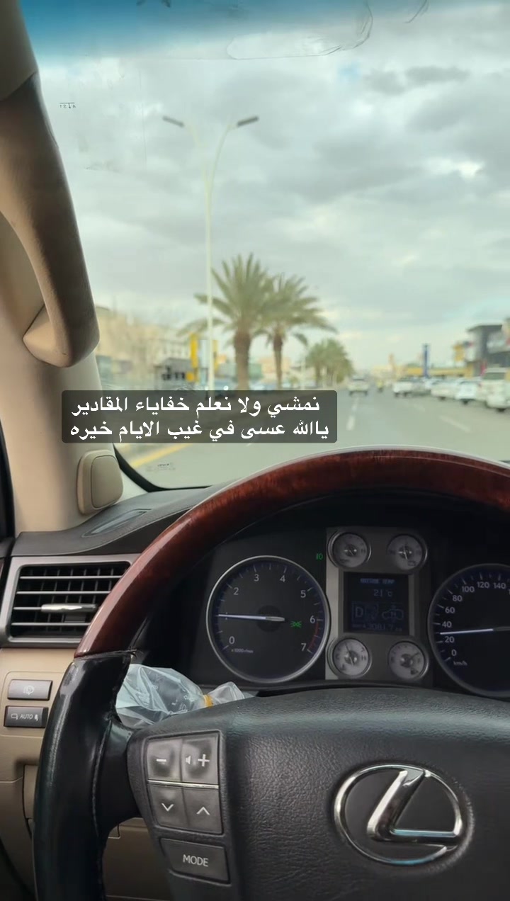@الكايد