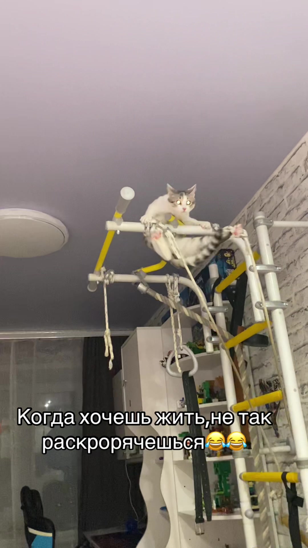 @Мама Скорпион