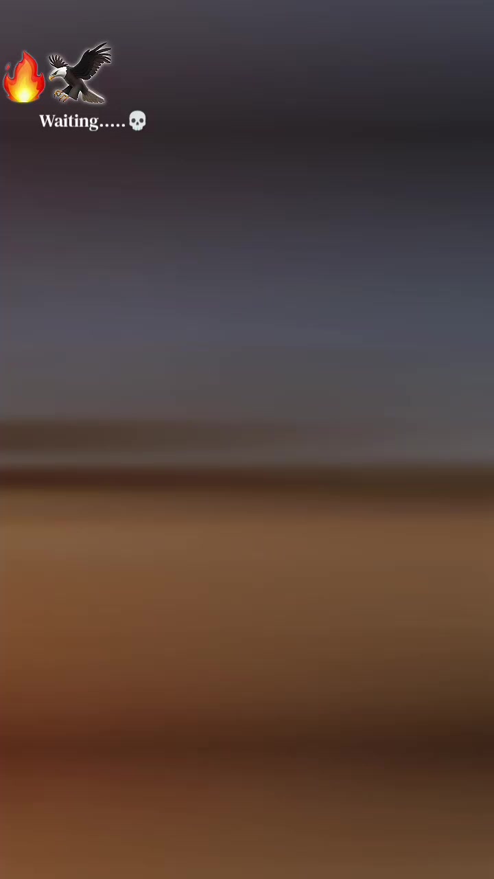 @𝐖*** 𝐓** 𝐅***