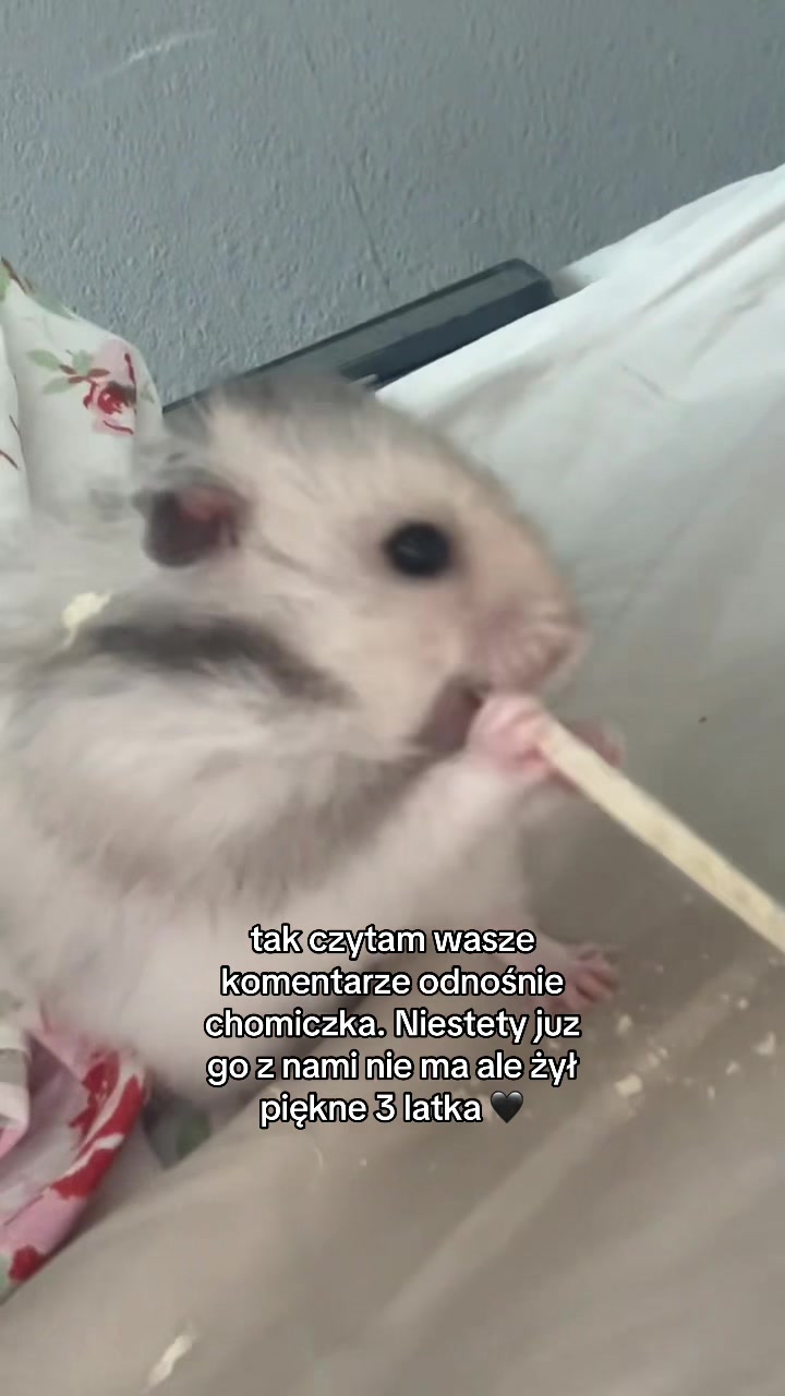 @oliwiaknd