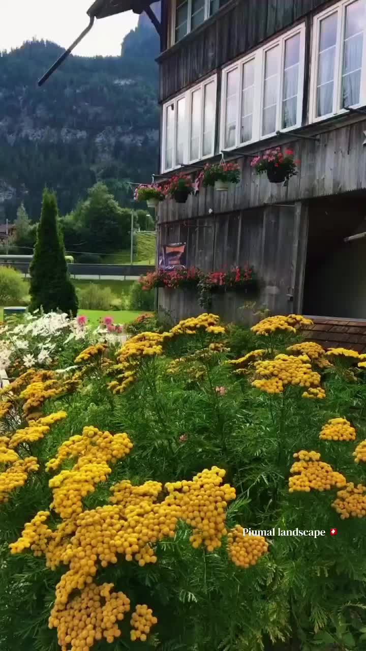 @🇨🇭𝓟𝓲𝓾𝓶𝓪𝓵 ✍️