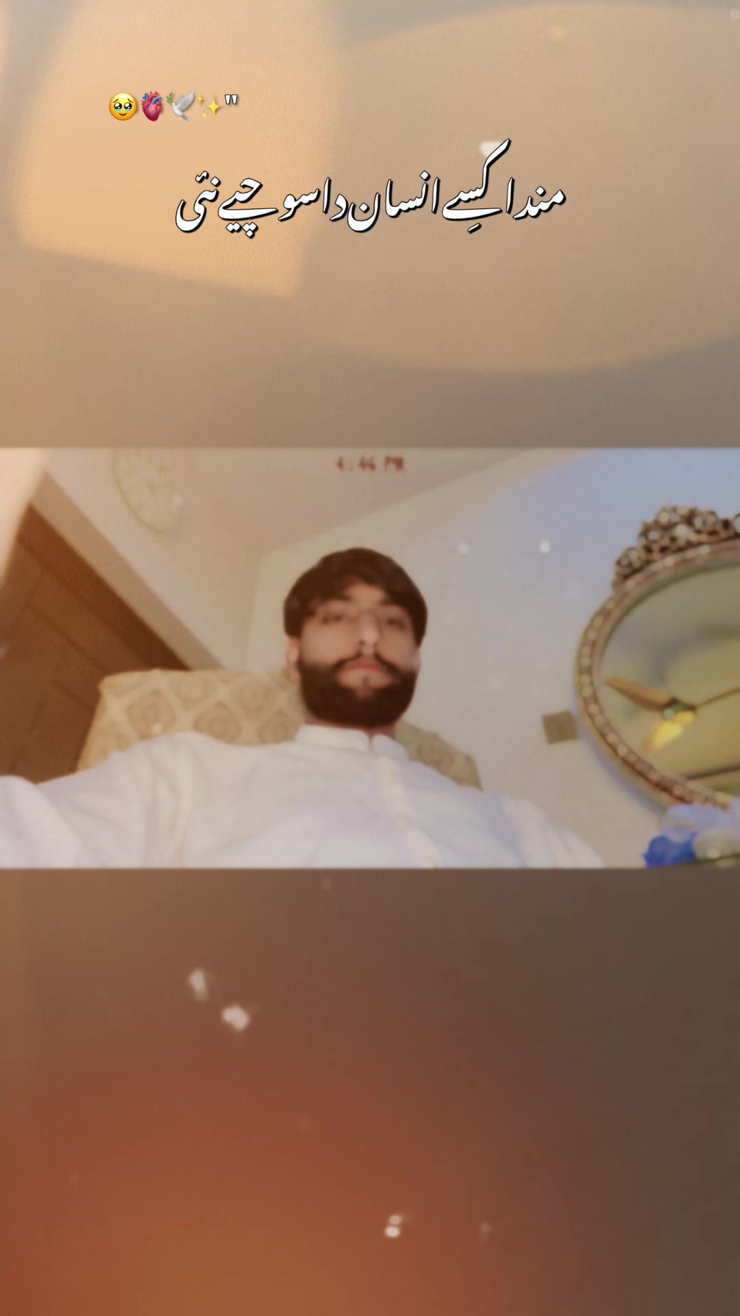 @MIAN Ali Raza.