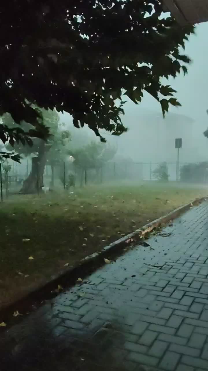 @Weather Insider