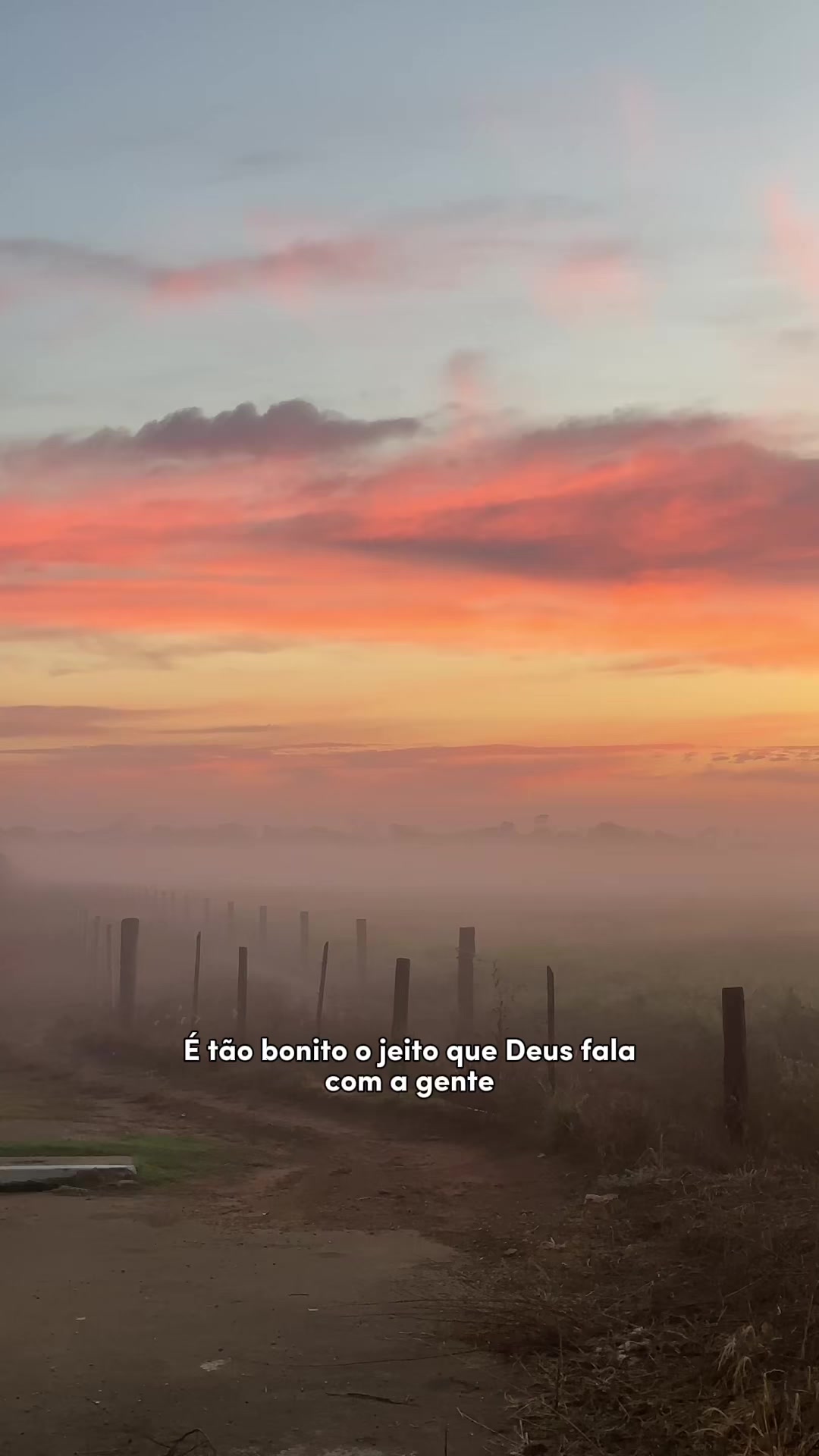 @Ana Karina Oliveira