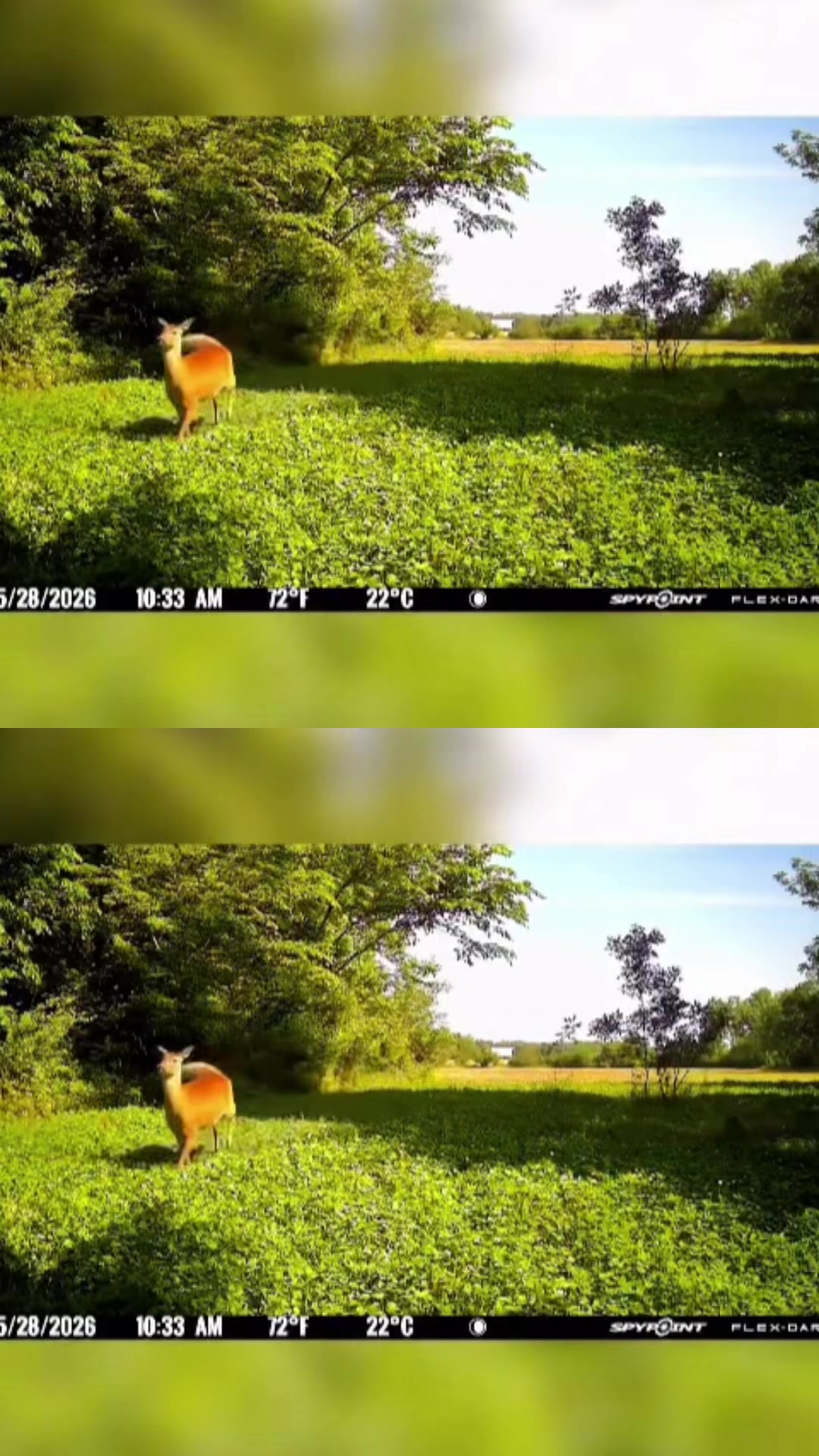 @Buckmasters Outdoors