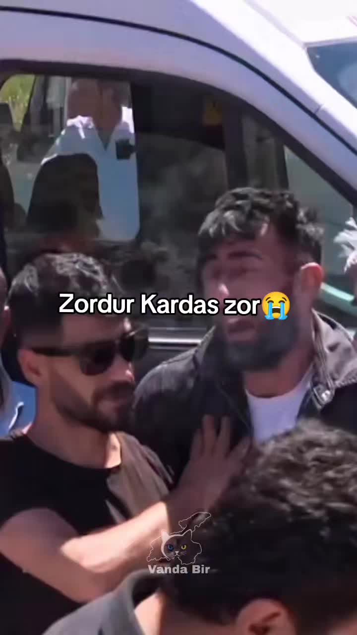 @🎲zaryld0🎲