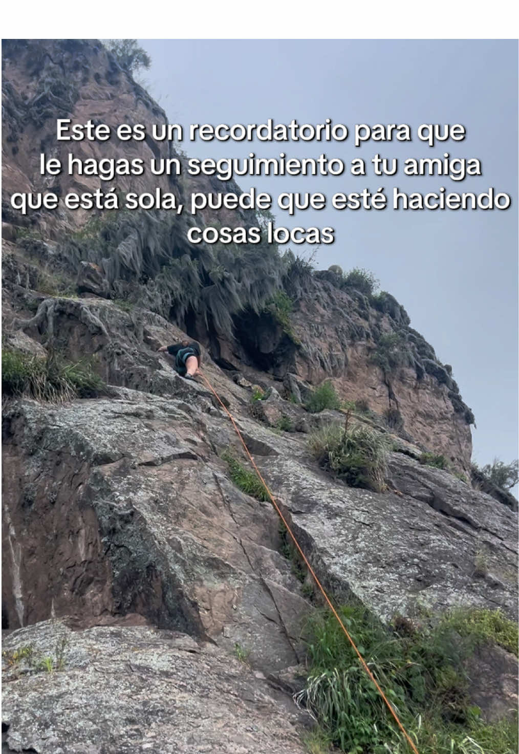 @Lucila Lobo