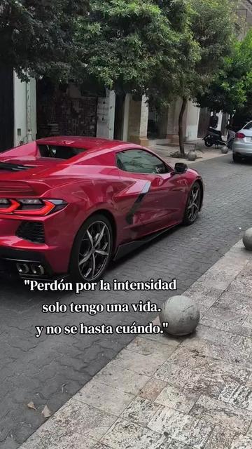 @Elvin 👀🇩🇴