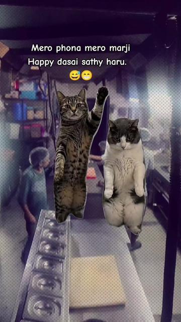 @๐ซถ๐ป๐๐ค๐ป