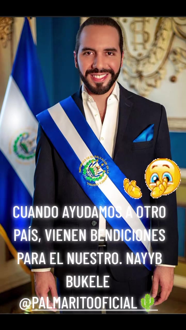 @PALMARITOOFICIAL 🌵