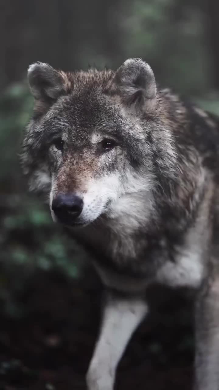 @HAYDAR &Ouml;ZEL