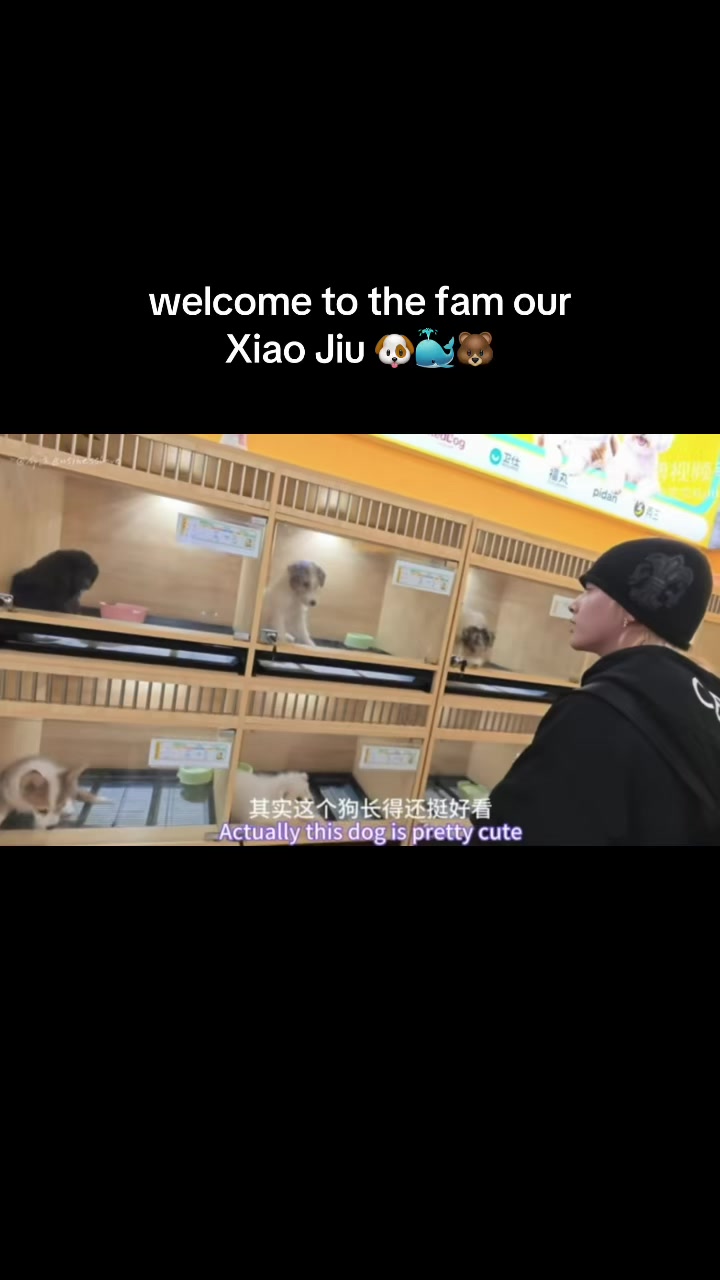 @Xizhao-Kuma-XiaoJiu-Liu🐻🐶🐳