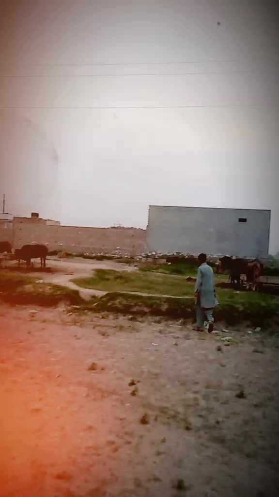 @janig03156367846