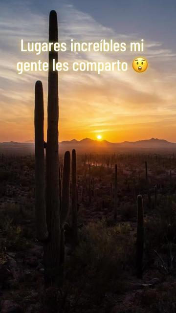 @jlrios74