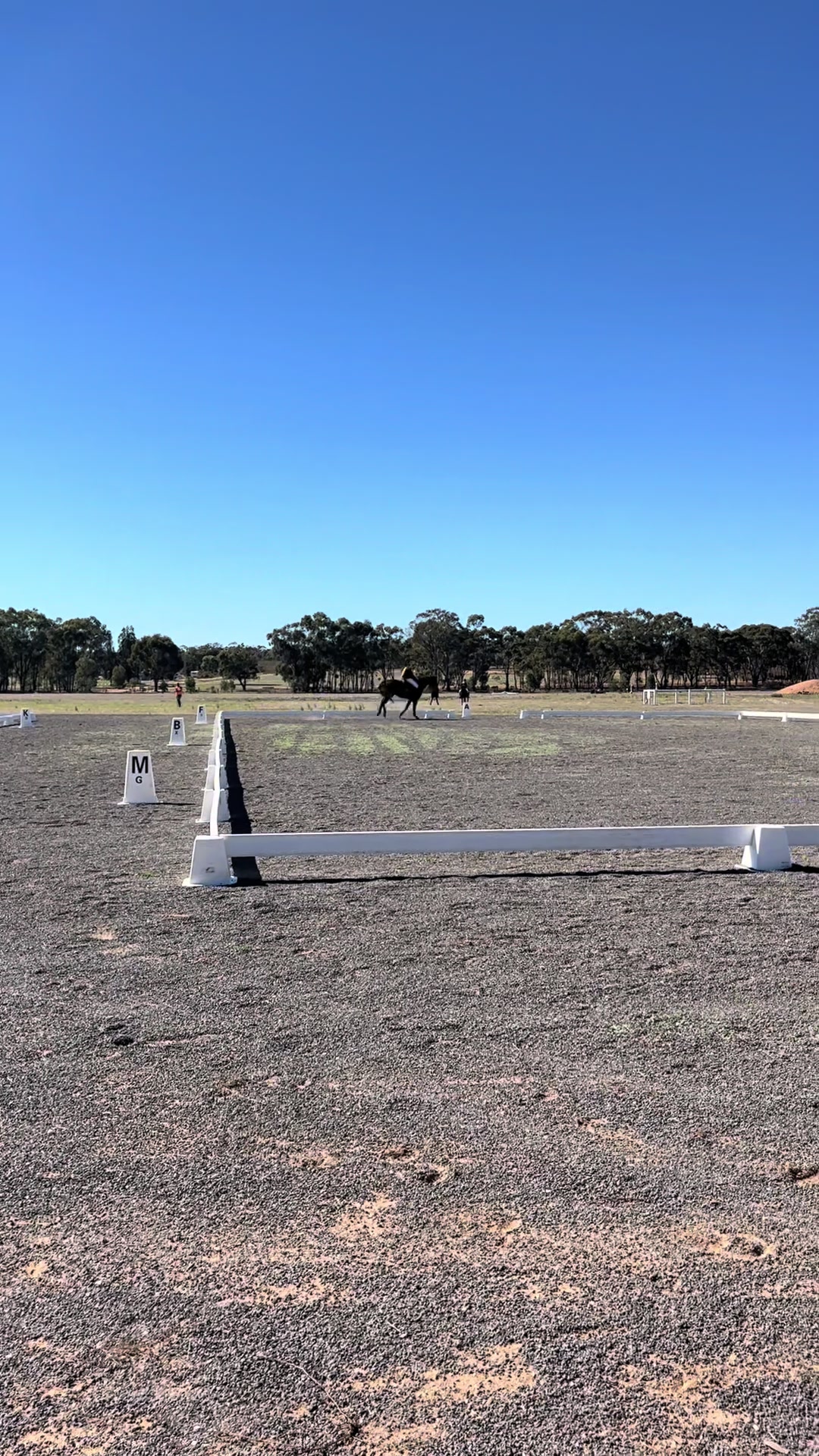 @t.equestrianxx