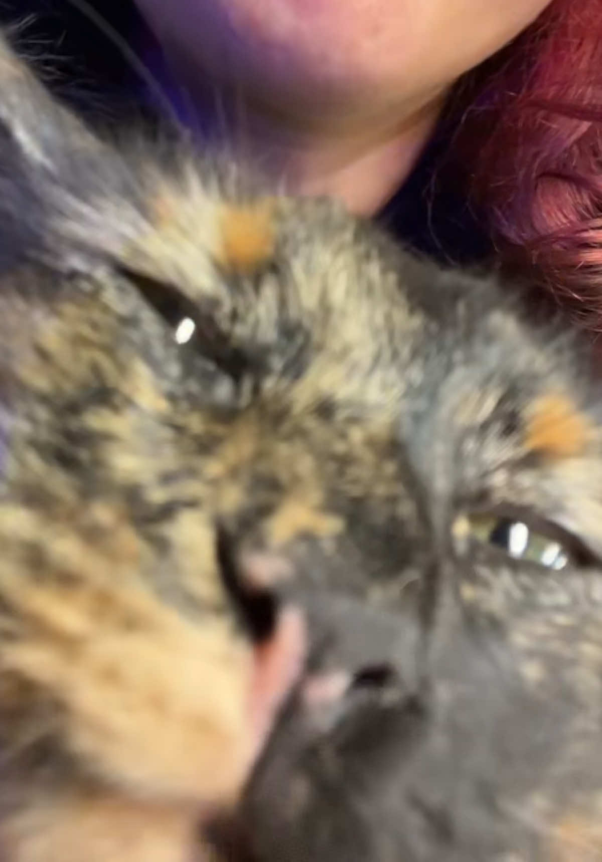 @R00fus_the_d00fus