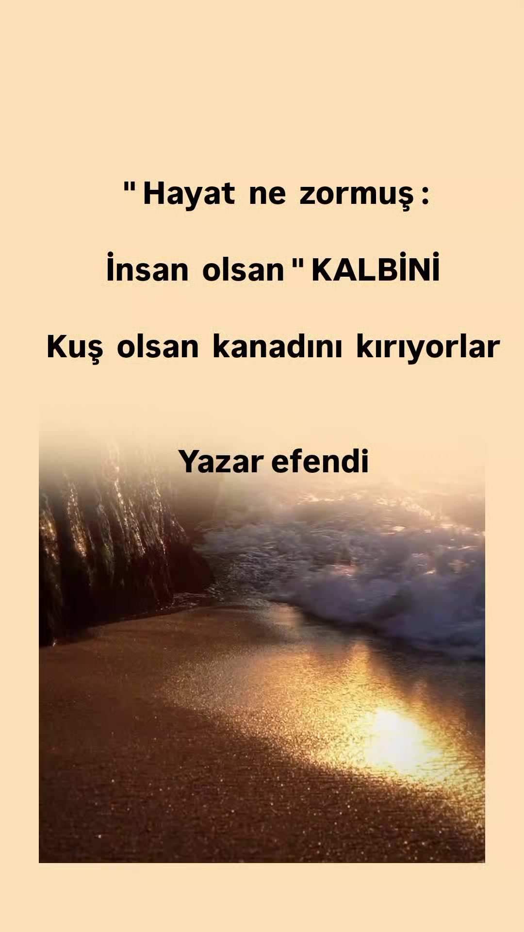 @YAZAR EFENDİ 📚📚