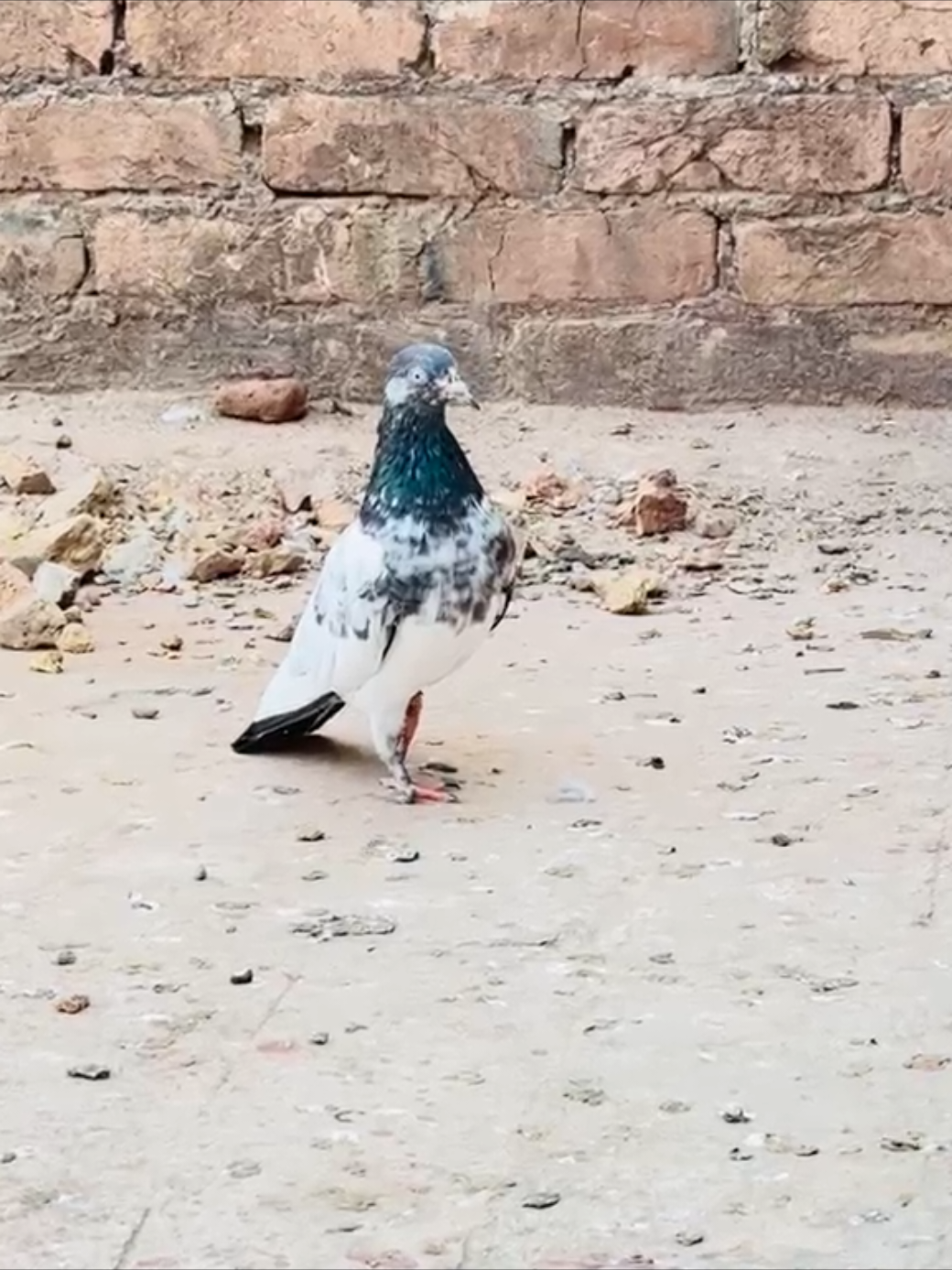 @شوق 🫀
