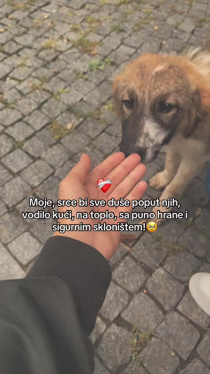 @Erna Alic