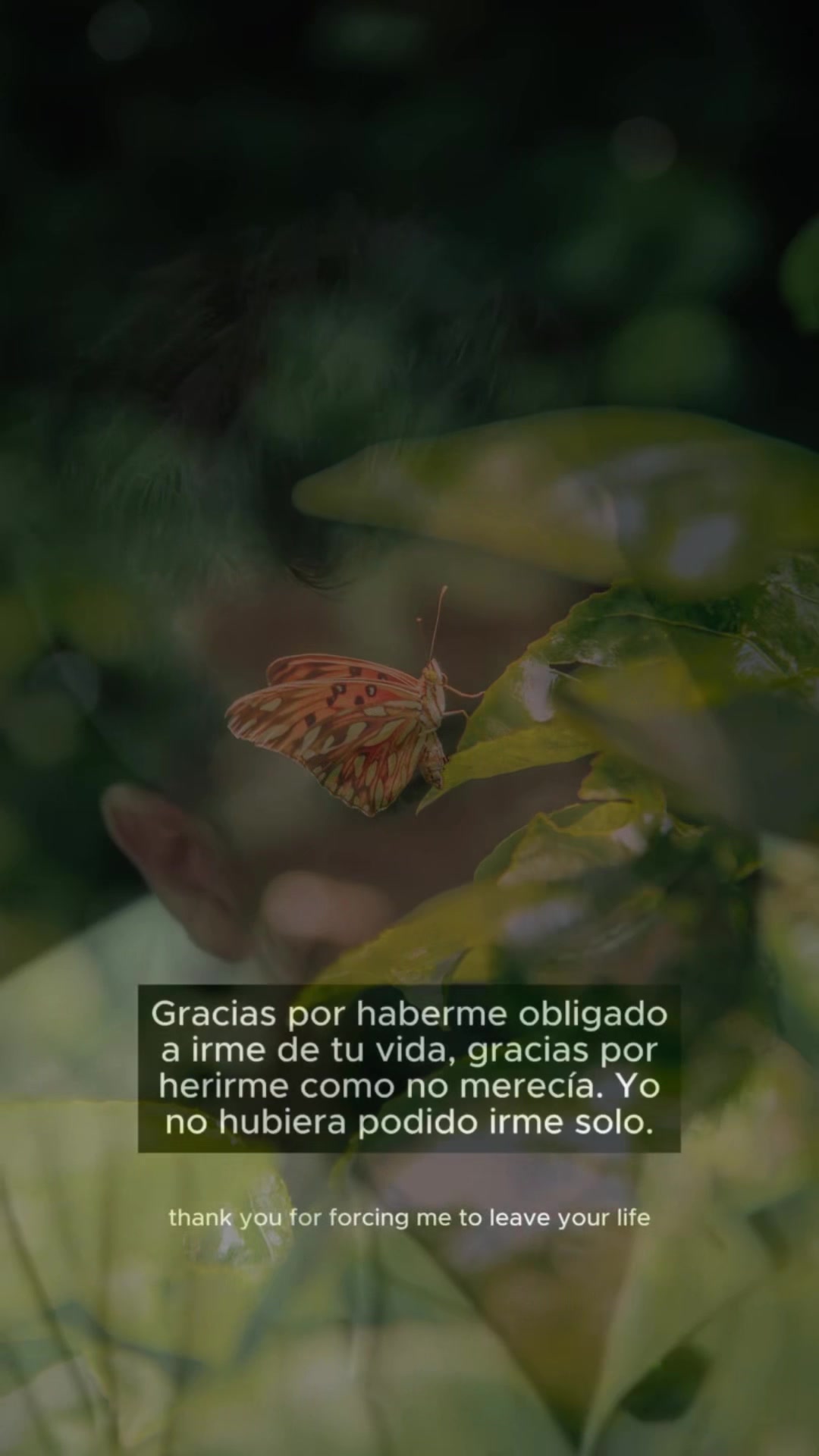 @Diane🦋