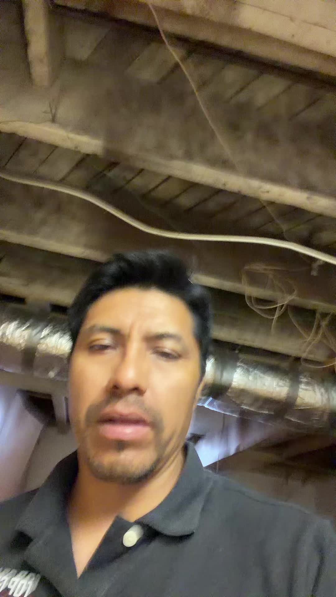 @willy✅
