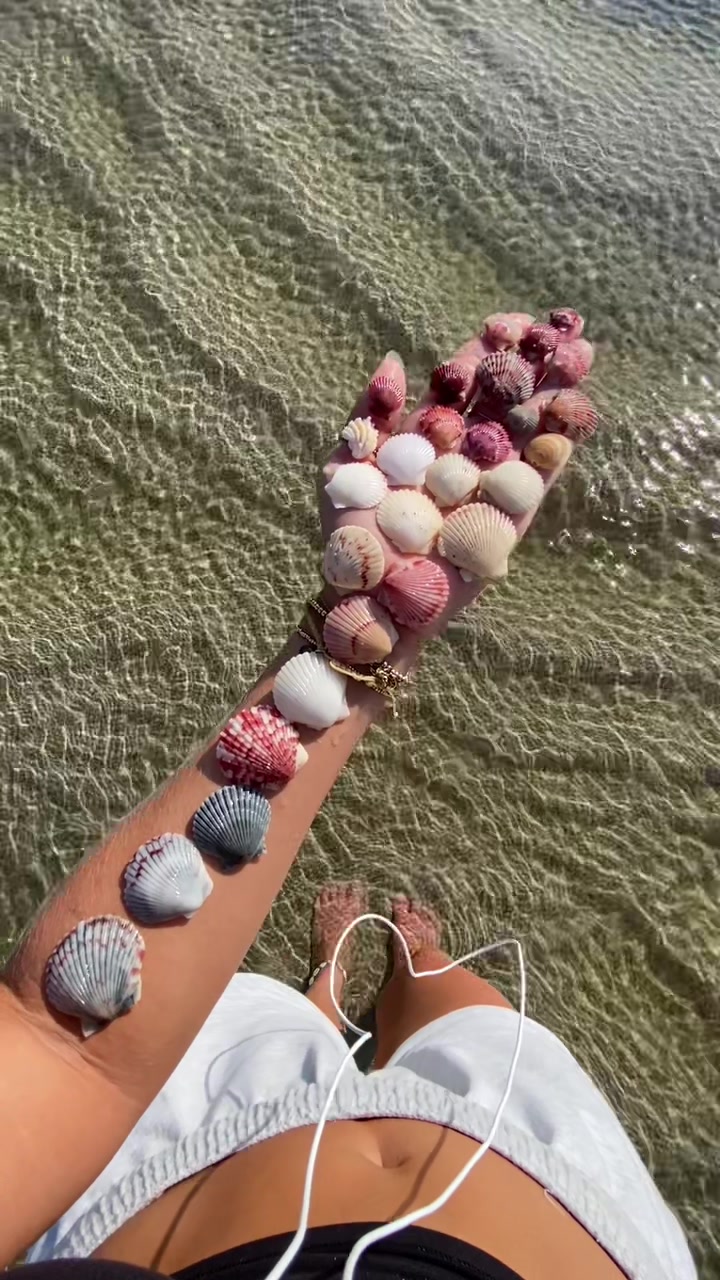 @_beachbum444