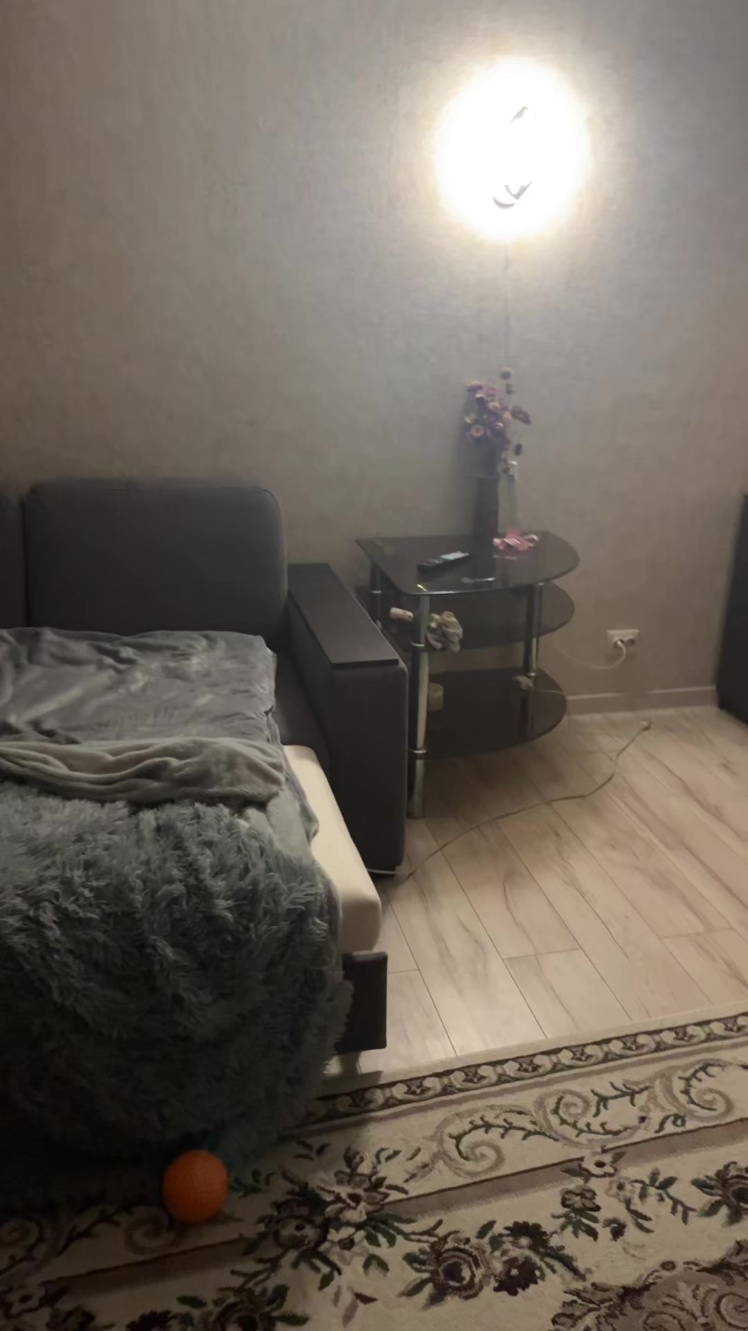 @давидрубчч